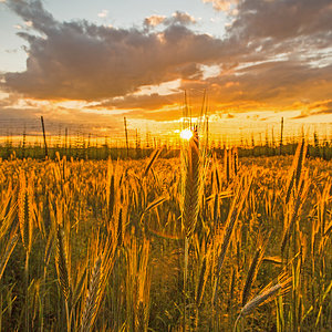 Sonnenuntergang farbig