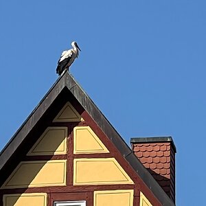 hk_260227_sie sind_da_1.jpeg