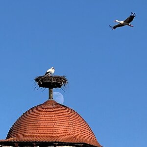 hk_260227_sie sind_da_2.jpeg