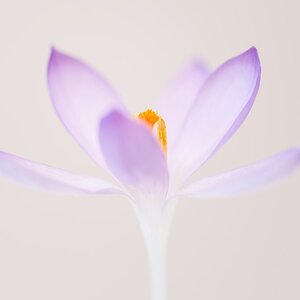 Wird aber auch Zeit.......