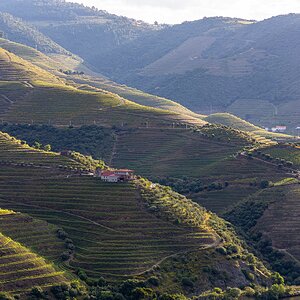 Vinho verde wird das mal