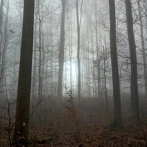 Im Nebel aufgehende Sonne