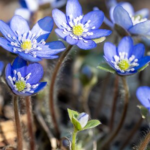 Nun geht es aber ab!