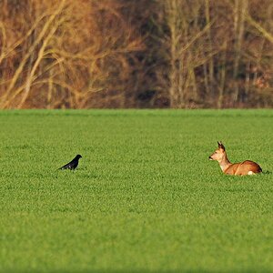 Nachmittäglicher Plausch in der Sonne.
