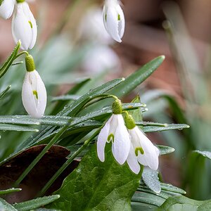 Der Frühling lässt grüßen