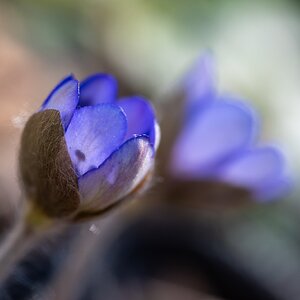 Der Nachwuchs ist auf dem Weg…