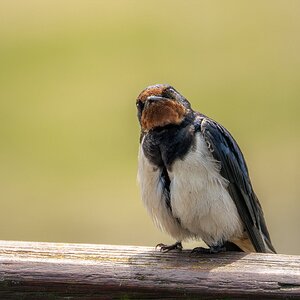 das muss ich mir genauer anschauen