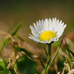 Hier bin ich wieder!
