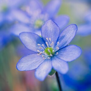 Ein (vorerst) letztes