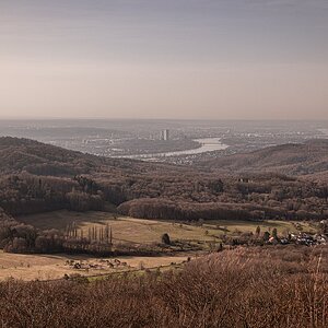 Blick auf die Rheinschleife und Bonn