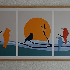 'Untergehende' Sonne