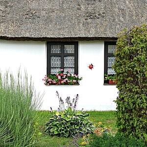 ... #5 Fenster/Türen .... 'home sweet home'