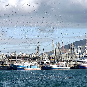 ... Flug- und Schiffsverkehr