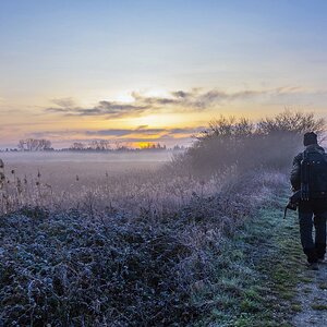 Morgenstund hat Gold im Mund