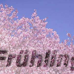 ... 20.3.2026, 15:46 Uhr MEZ = astronomischer Frühlingsbeginn