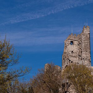 Burgruine Drachenfels