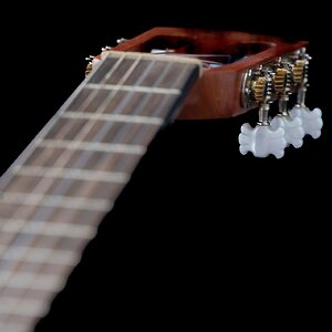 Zum Geburtstag (nachträglich) #1