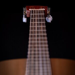 Zum Geburtstag (nachträglich) #2