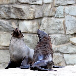 Spiel nicht die Beleidigte!