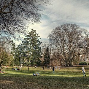 Frühling im Park