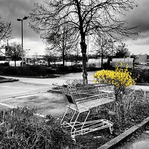 Mehr Frühling Wagen