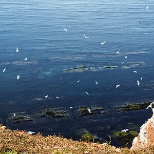Helgoland