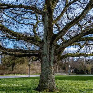 ganz schön mächtig
