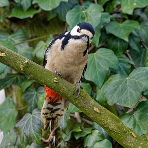 Was machst du.....????