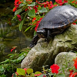Einmal rutschen bitte