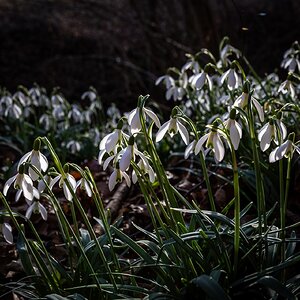 die im Schatten sieht man nicht