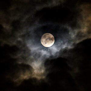 Howling to the moon.