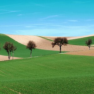 Den Frühling gesehen.