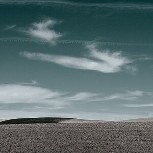 „Warten auf den Frühling“