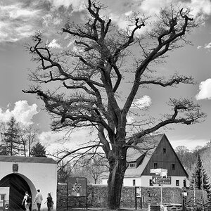 Einmarsch ins Brauhaus