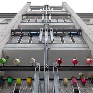 Frühling, Frühling