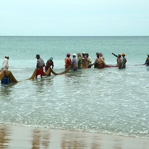 P1060306gFang einholen.jpg