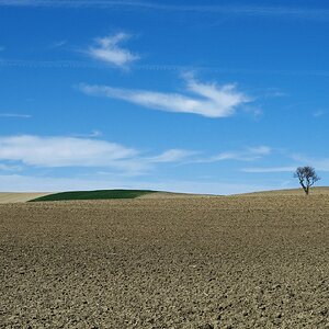„Warten auf den Frühling“ (2).jpg