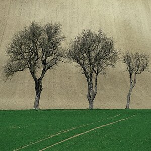 „Im Übergang“ (2).jpg