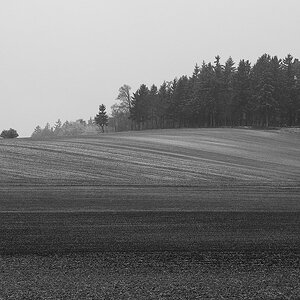 Heute angezuckert und nebelig.