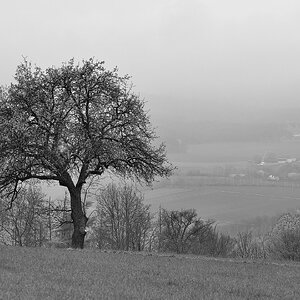 Wenn der Frühling Pause macht.