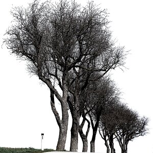 „Bitte langsam fahren“