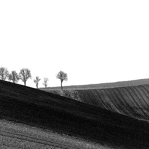 „ein auf und ab“