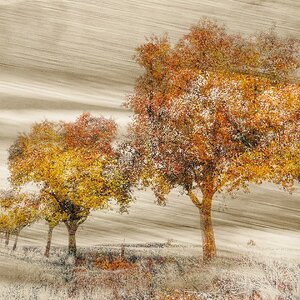 „Herbst im Gedächtnis“
