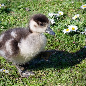 Eine Frage der Sicht