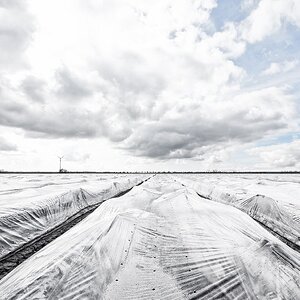 Noch unter der Plane