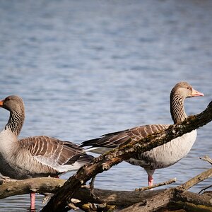 Wir haben uns nichts zu sagen!
