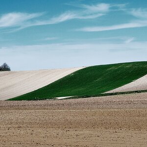 „Baumgruppe_versetzt_Danke WolfgangF“