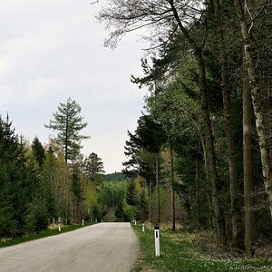 Ausflug in den Wald.