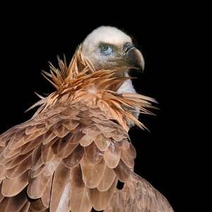 Schick für`s Dinner