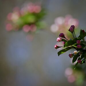 Ein Platz an der Sonne
